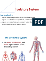 9 The Circulatory System