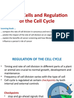 6 Cancer and Regulations of The Cell Cycle Revised