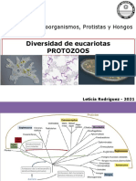 Diversidad de Eucariotas - PROTOZOOS - 2021