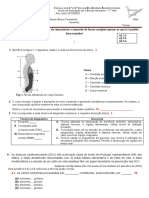 Teste 9º Dez