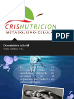 Desnutricininfantilenmxico 111109092006 Phpapp01