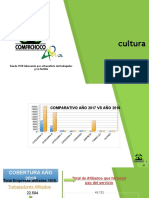 Informe Ejecutivo Cultura 2018