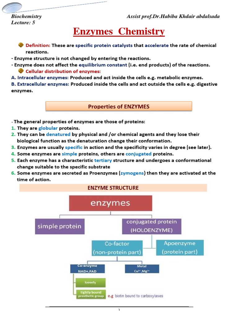 Properties and Mechanisms of Enzymes | PDF | Enzyme | Active Site