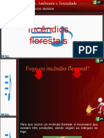 incendios_florestais