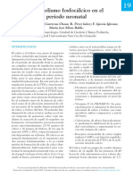 Metabolismo Fosfocálcico Neonatal