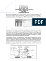 Fluidoterapia Guía