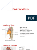 Heart & Pericardium