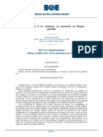 Ley 31-1995-Prevencion de Riesgos Laborales