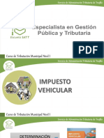 G2.2 Impuesto Vehicular Esatt 2018 COMPLETO PDF