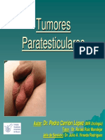 Tumores Paratesticulares
