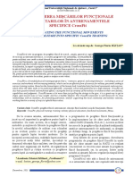 TRANSPUNEREA MIȘCĂRILOR FUNCȚIONALE ALE MILITARILOR ÎN ANTRENAMENTELE SPECIFICE CrossFit