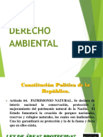 Legislación Ambiental Guatemalteca - Patrimonio Natural
