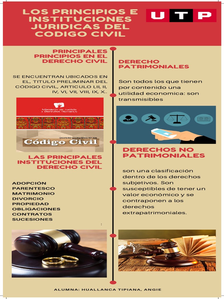 Principios e Instituciones del Derecho Civil | PDF | Derecho