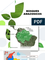 Importancia Bosques