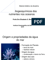 Ciclos Biogeoquímicos Dos Nutrientes Nos Oceanos-Resumo-1