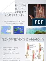 1-2 Anatomy and Healing Flexor Tendons FESSH
