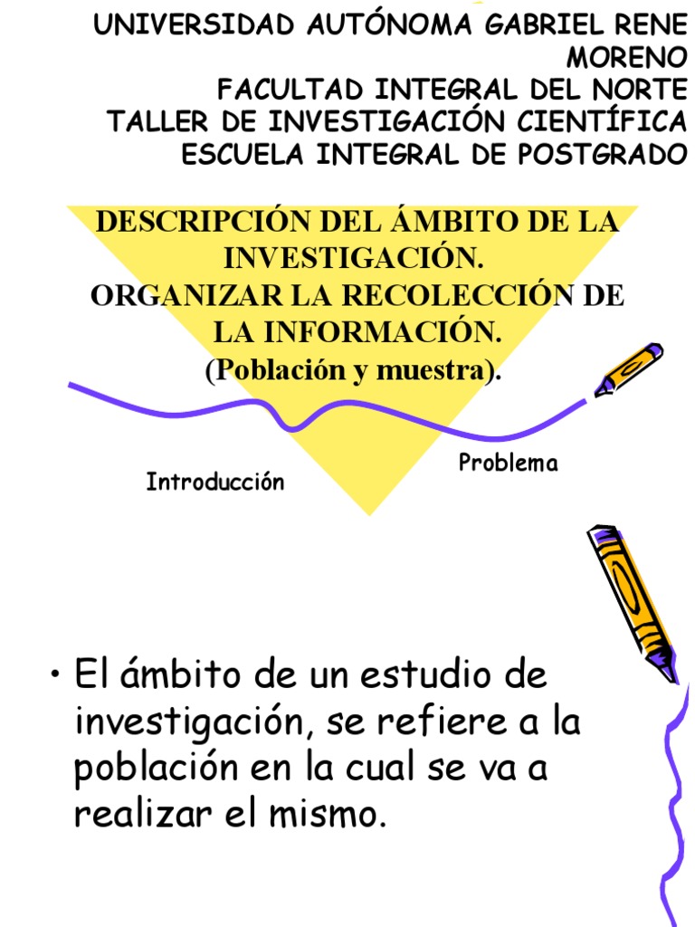 C Descripci n Del mbito De La Investigaci n PDF Cuestionario 