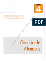 Modulo 04 Alcance v.1.0.0.f. Formato