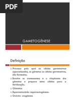 Microsoft PowerPoint - Gametogénese