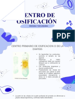 Centro de Osificacion - Embriologia