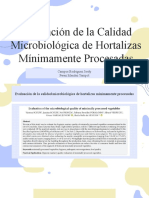 Microorganismos (1)