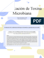 Practica Nº10 Microorganismos