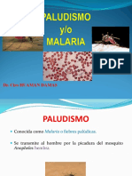 Malaria: causas, síntomas y tratamiento
