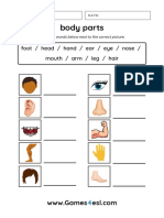 Body Parts Worksheet 2