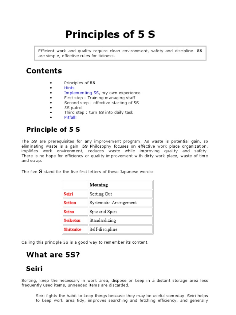 5 SPrinciples | PDF