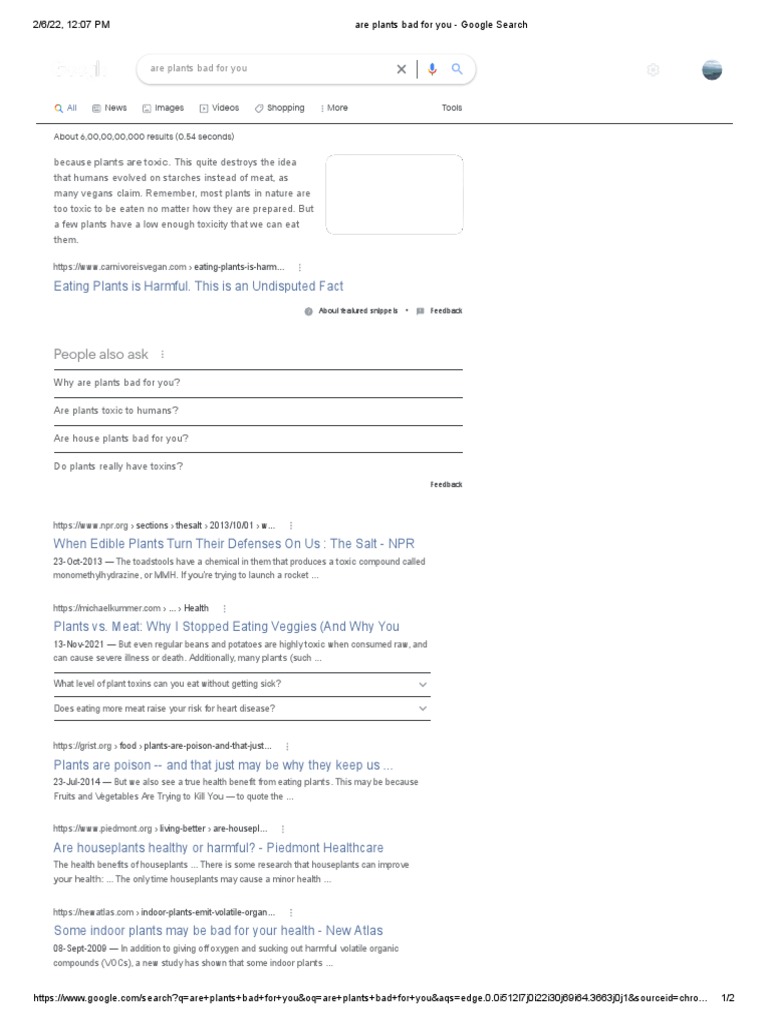 Are Plants Bad For You A New Study PDF Houseplant Plants