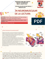 Funcion Neuromuscular de La Lectura