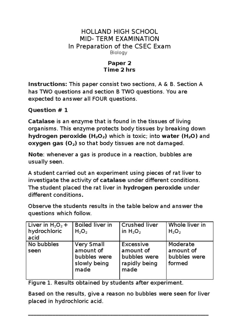 🎉 Liver experiment with hydrogen peroxide. Lab Report 4. 20190130
