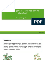 c1 Fitopatologie Simptome 21