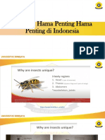 Serangga Hama Penting di Indonesia