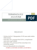 Terminologi Anatomi
