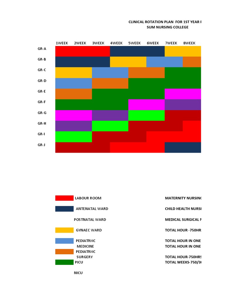 Clinical Rotation Plan for Nursing 1st Year | PDF | Surgery | Medical ...