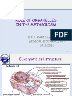 Role of Organelles in The Metabolism 141221