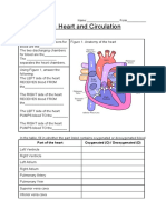 The Heart and Circulation Worksheet