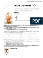 Esquema Resum Sobre El Procés de La Digestio