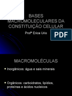 Bases Macromeleculares Da Constituição Celular