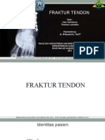 FRAKTUR TENDON