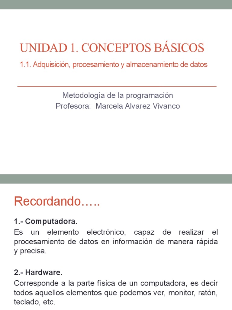 Conceptos Básicos de Programación y SI | PDF | Lenguaje de programación ...