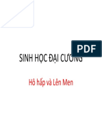 Hô hấp - Lên men