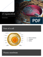 Cellular Level of Organization