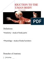 Introduction To The Human Body
