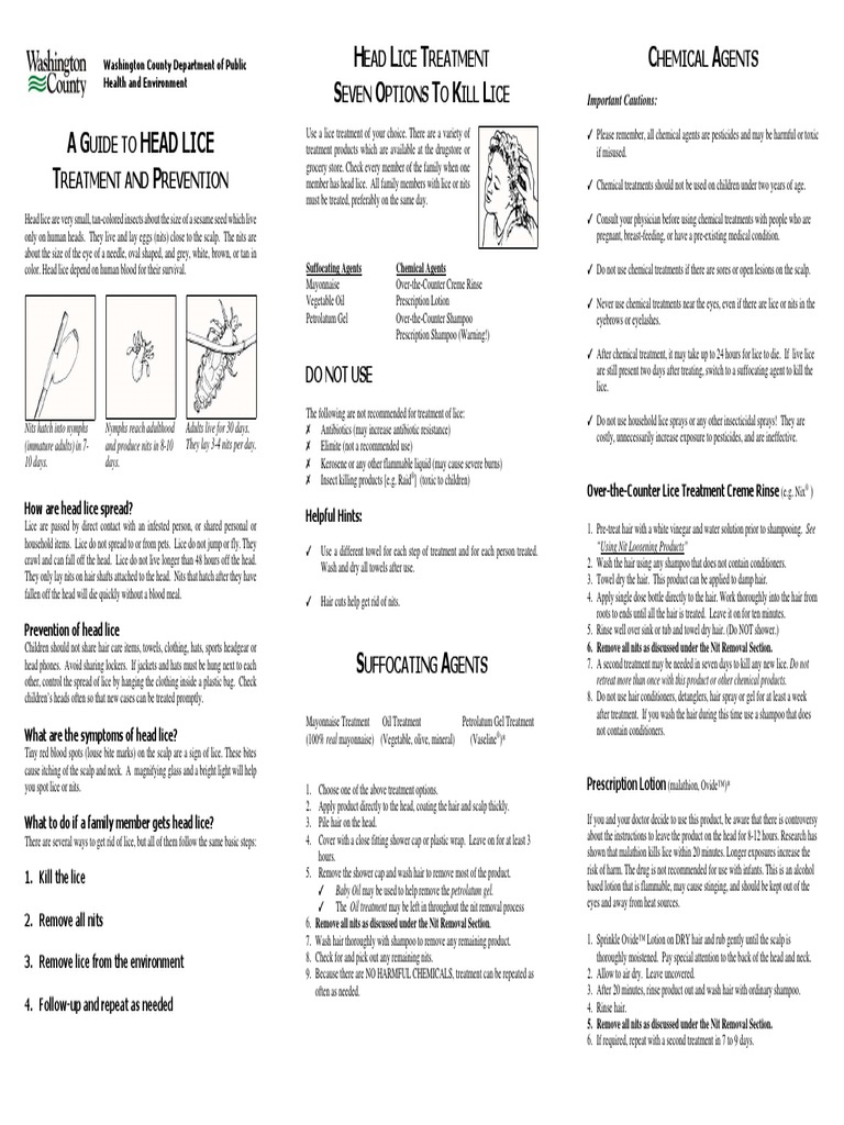 Head Lice Treatment and Prevention Guide | PDF | Shampoo