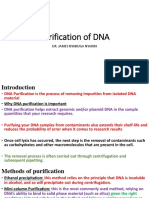 Purification of DNA: Dr. James Nyabuga Nyariki