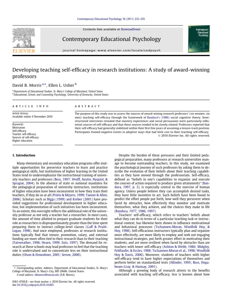 Teaching Self-Efficacy in Research Professors | PDF | Self Efficacy ...
