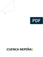Estudio Hidrologico de La Cuenca Nepena.