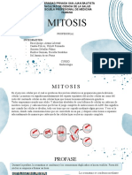 Mitosis: División celular